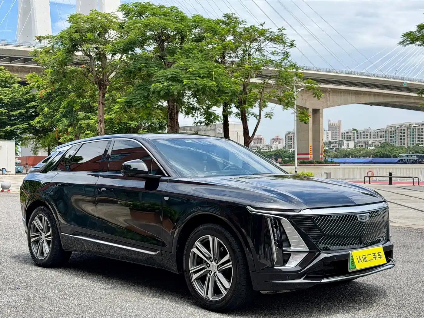 iQ Ruige 2024 Rear-Wheel Drive Standard Range Luxury Edition — миниатюра 7