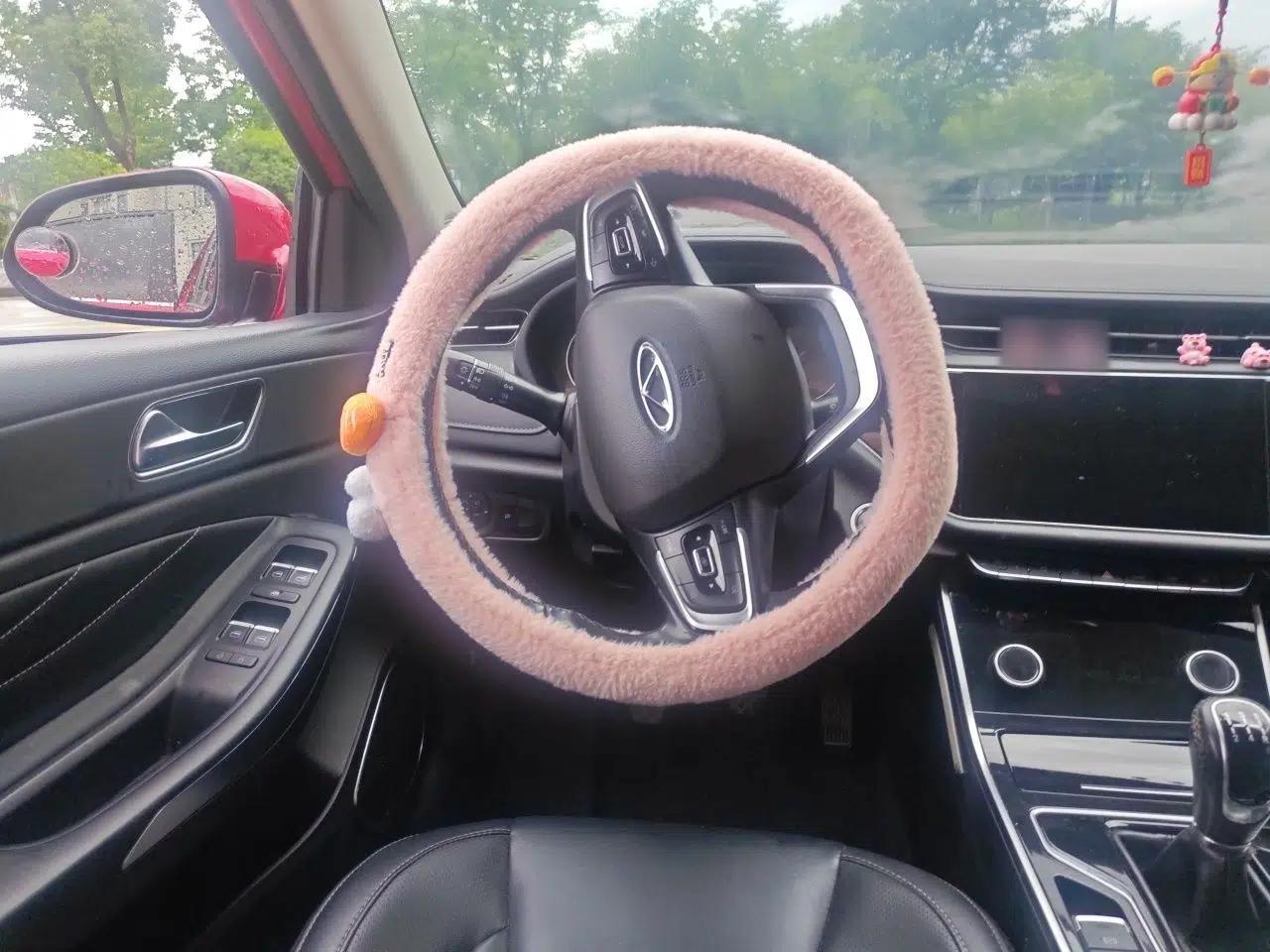 Chery Arrizo GX 2019 Pro 1.5T Manual Edition China VI Emission Standard — миниатюра 7