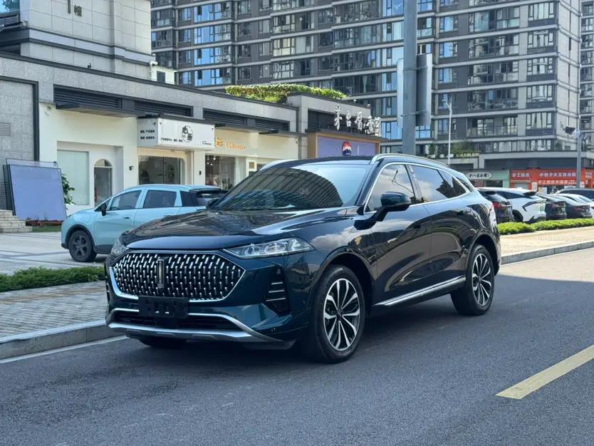 Wey Mocha 2021 2.0T Four-Wheel Drive Premium Edition — миниатюра 1