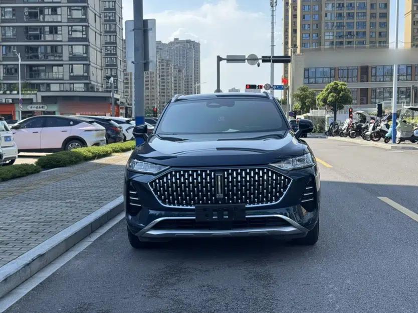 Wey Mocha 2021 2.0T Four-Wheel Drive Premium Edition — миниатюра 2