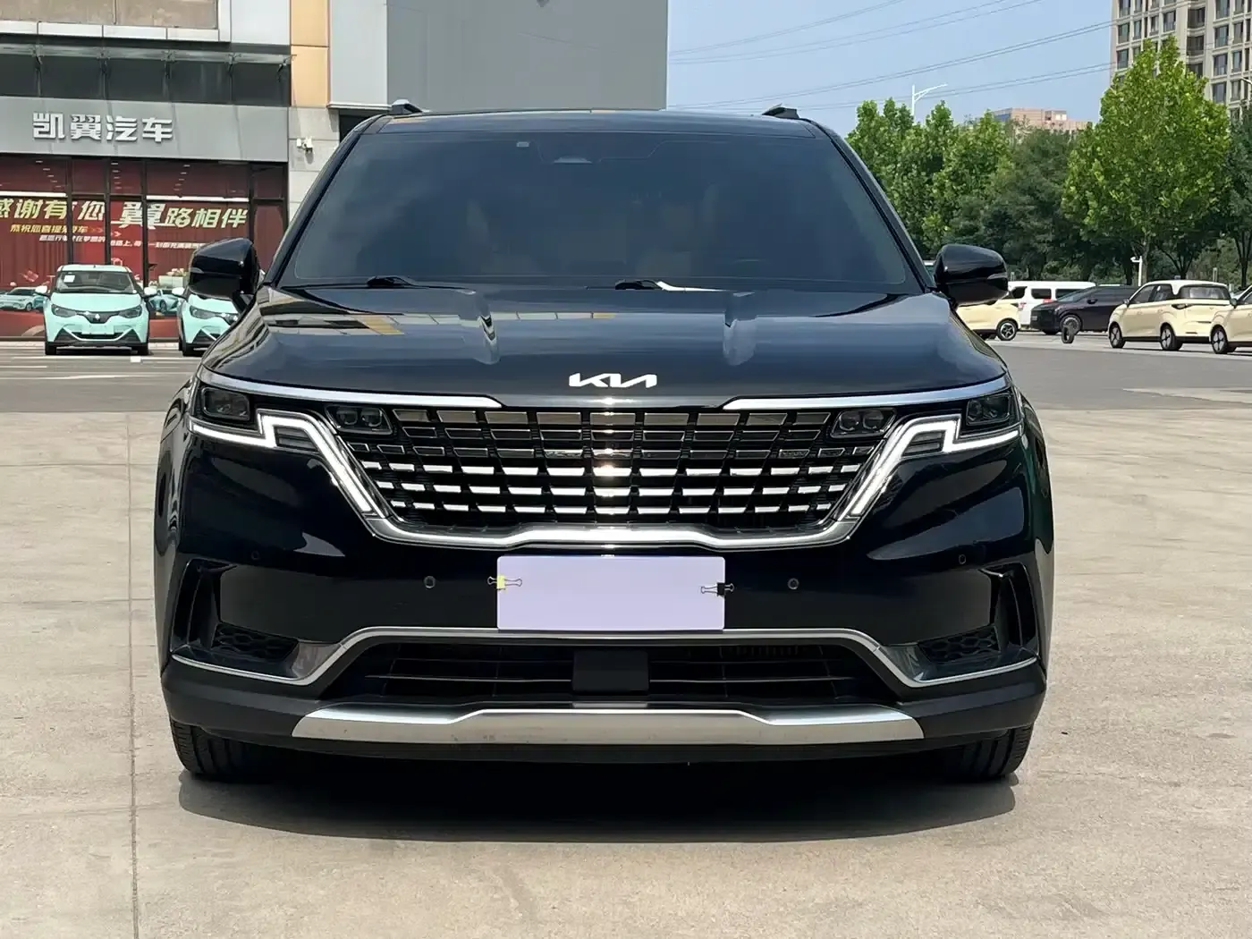 Carnival 2021 2.0T Flagship Edition — миниатюра 2
