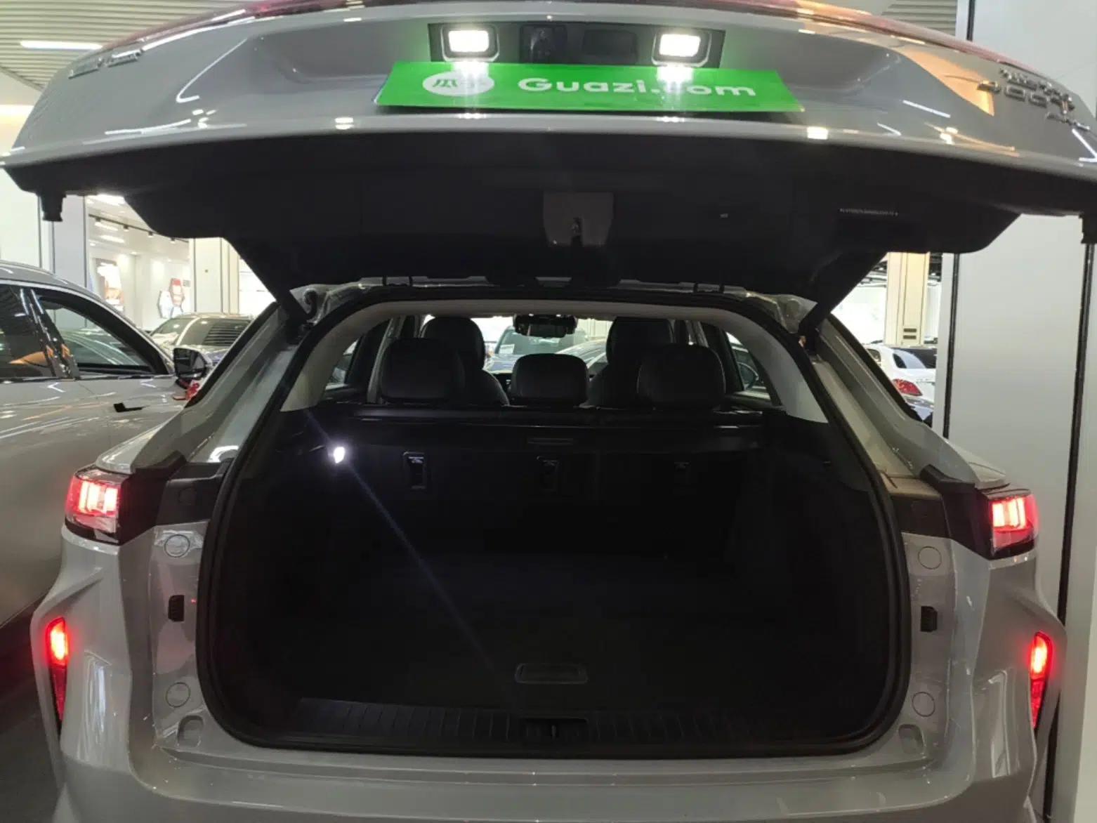 EXEED Stellar 2023 400T Four-Wheel Drive Deluxe Edition — миниатюра 22