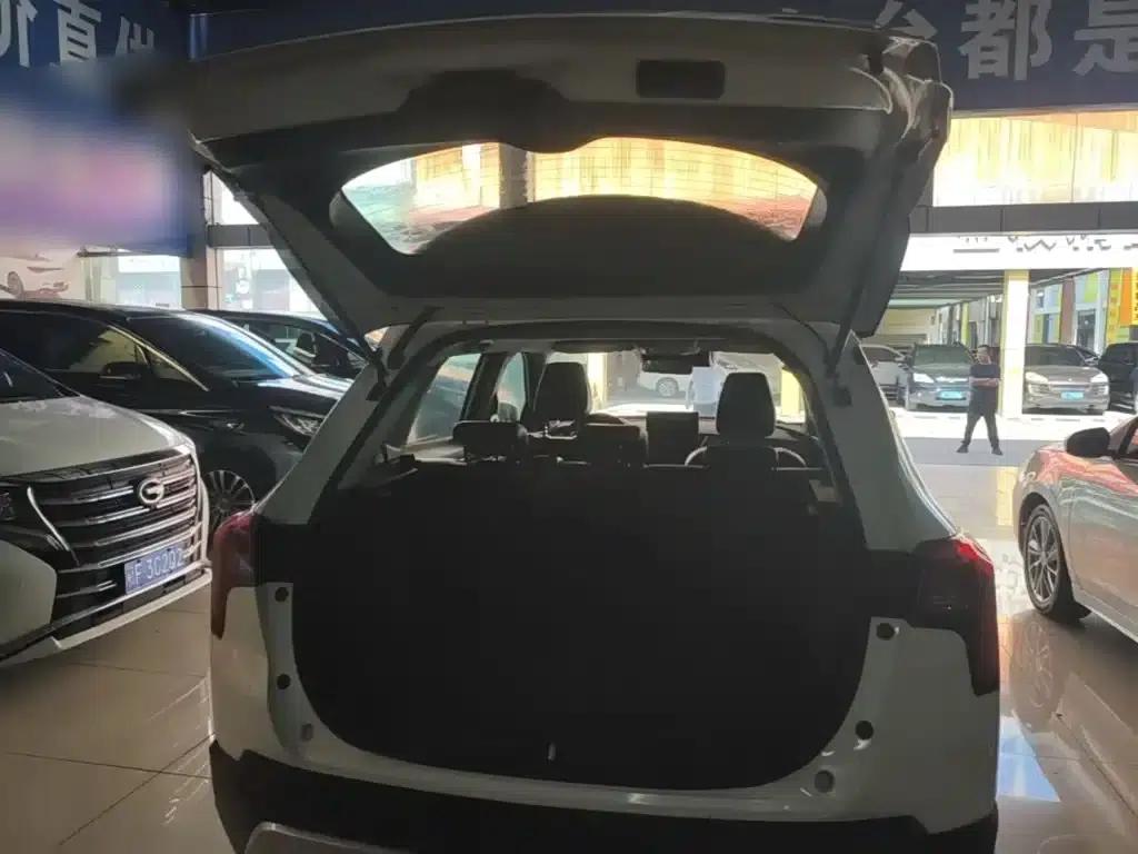 Venucia T60 2018 1.6L CVT Smart Edition (National V Emission Standard) — миниатюра 19