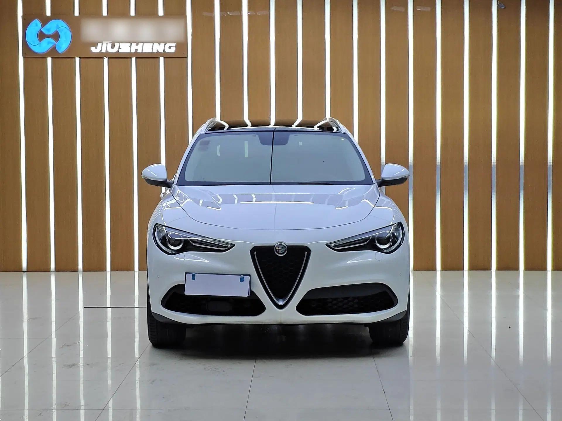 Alfa Romeo Stelvio 2017 2.0T 200HP Elite Edition — миниатюра 11