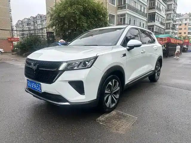 Wuling Xingchen 2022 2.0L DHT Electric Speed Model