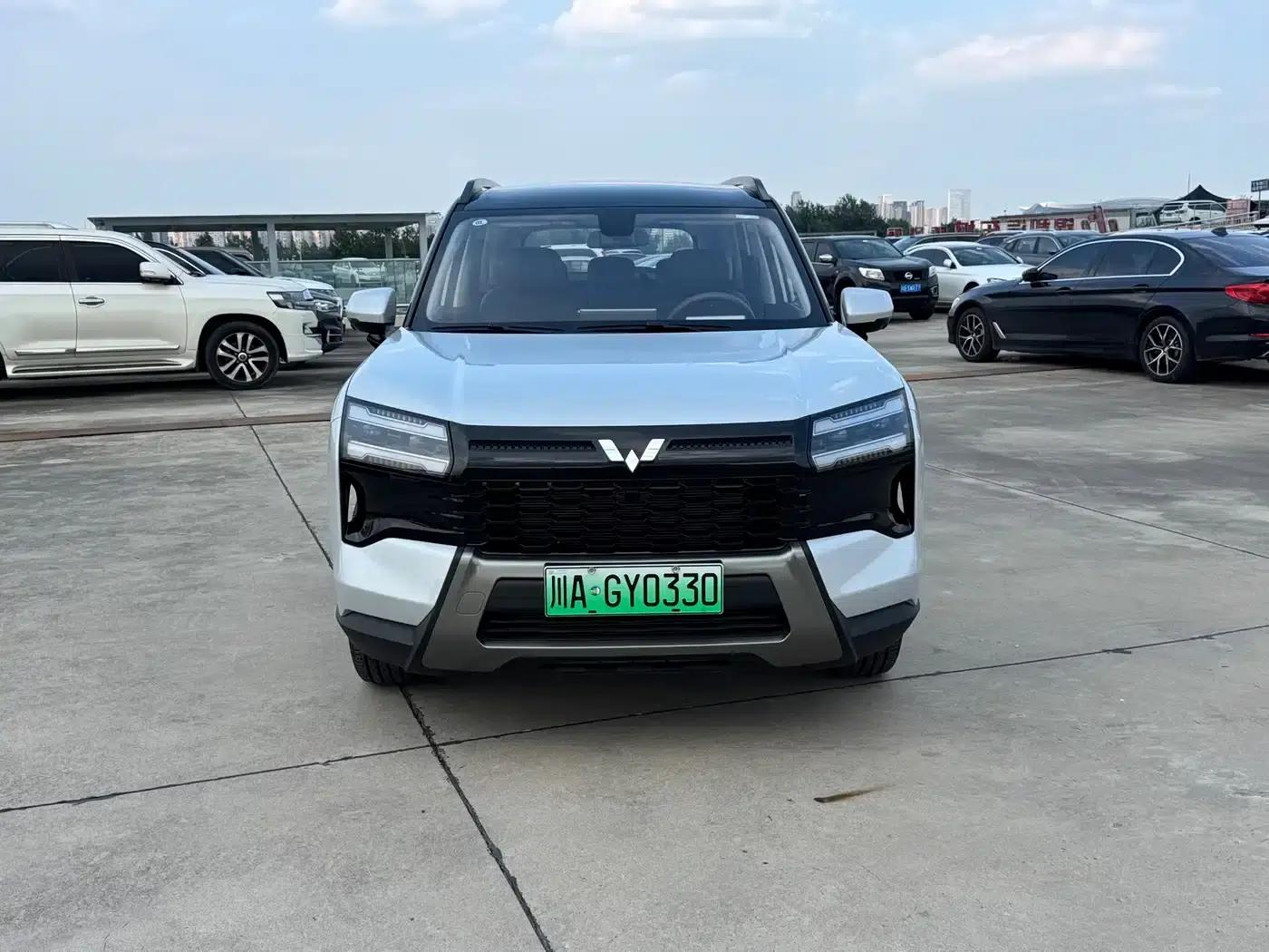 Starlight 560 New Energy 2026 Plug-in Hybrid 125km/h Luxury Model — миниатюра 2