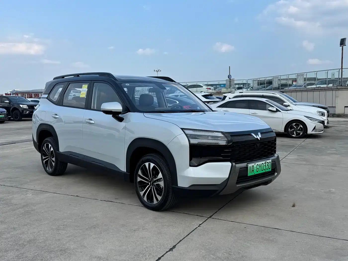 Starlight 560 New Energy 2026 Plug-in Hybrid 125km/h Luxury Model — миниатюра 3