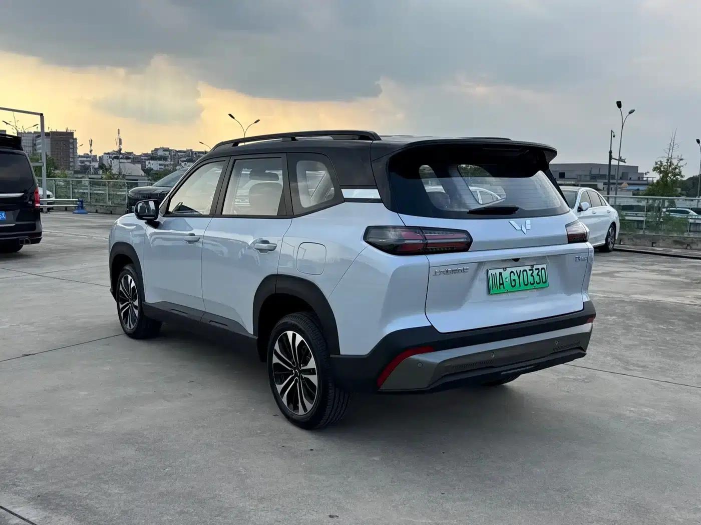 Starlight 560 New Energy 2026 Plug-in Hybrid 125km/h Luxury Model — миниатюра 7