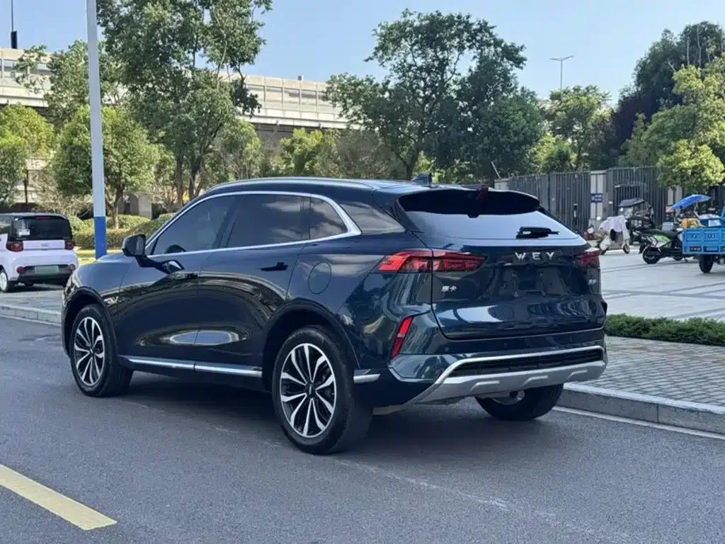 Wey brand Mocha 2021 2.0T 4WD Special Edition — миниатюра 6