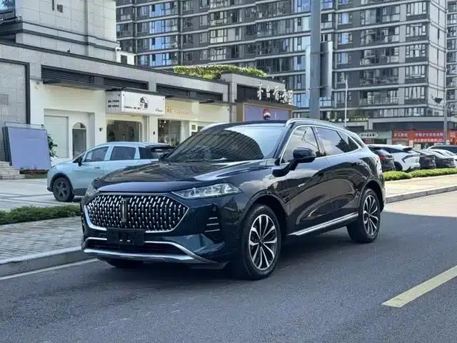 Wey brand Mocha 2021 2.0T 4WD Special Edition