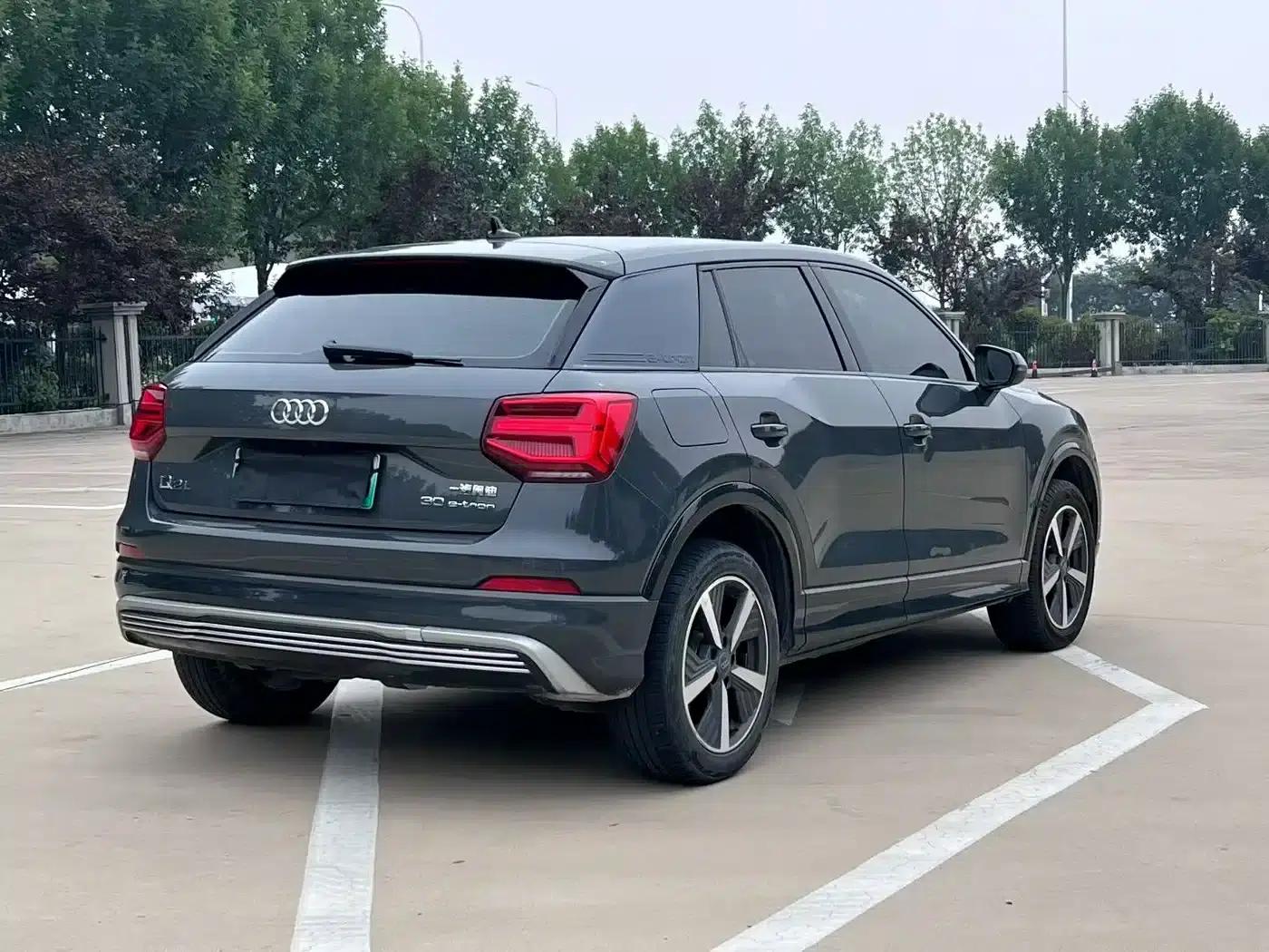2019 Audi Q2L e-tron Pure Electric Smart Edition — миниатюра 6