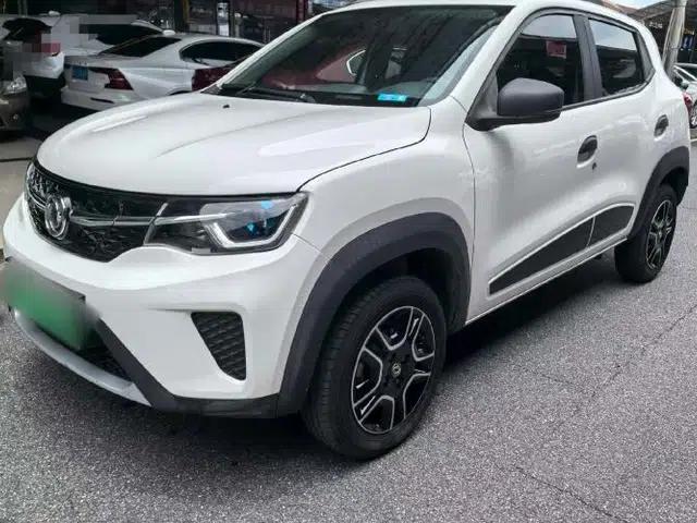 Dongfeng NAMMI EX1 2022 Revised PRO Enjoyment Version