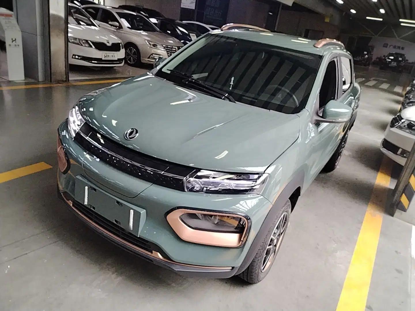 Dongfeng NAMMI BOX 2022 Champion Edition Light Wind Version 201KM Standard Model — миниатюра 1