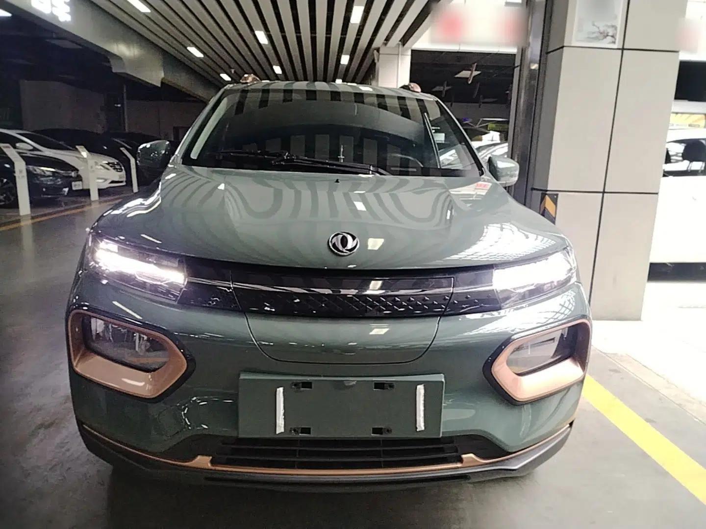 Dongfeng NAMMI BOX 2022 Champion Edition Light Wind Version 201KM Standard Model — миниатюра 2