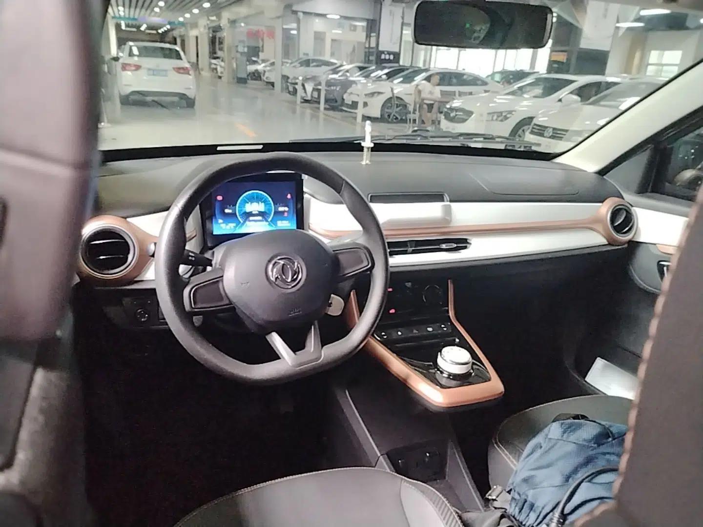Dongfeng NAMMI BOX 2022 Champion Edition Light Wind Version 201KM Standard Model — миниатюра 12