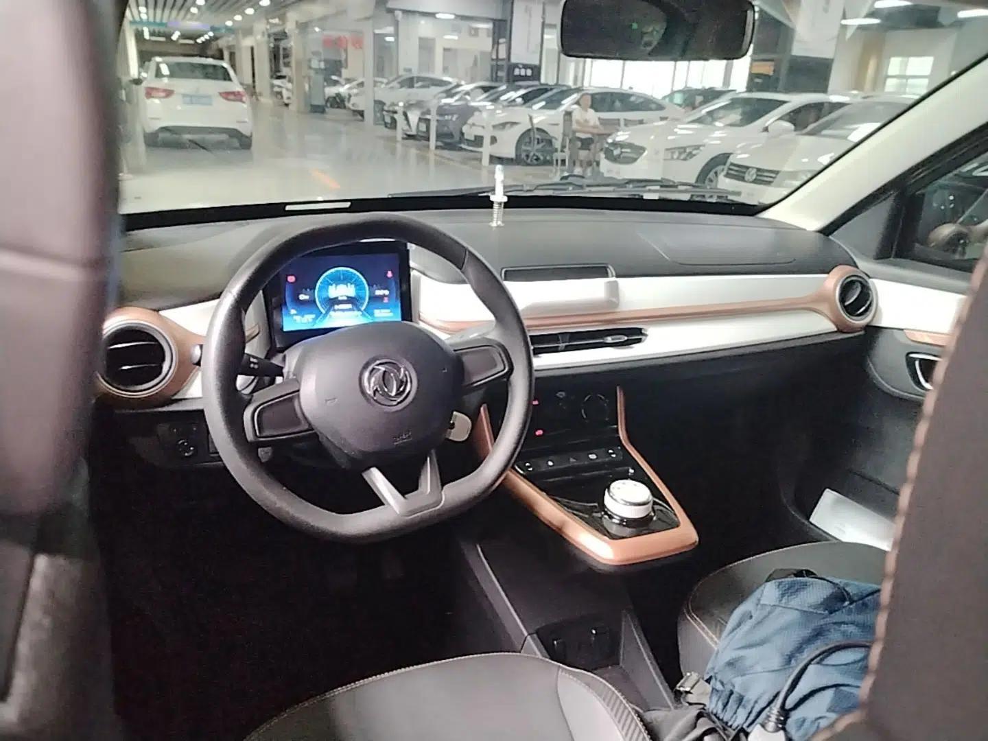 Dongfeng NAMMI BOX 2022 Champion Edition Light Wind Version 201KM Standard Model — миниатюра 13