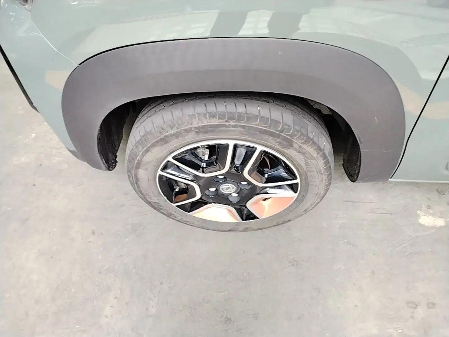 Dongfeng NAMMI BOX 2022 Champion Edition Light Wind Version 201KM Standard Model — миниатюра 10