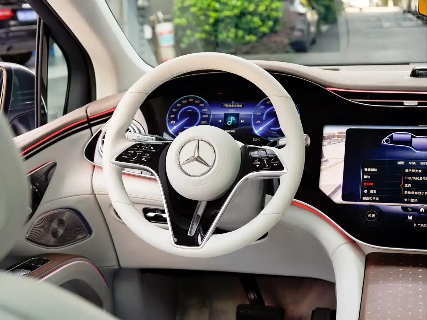 Mercedes-Benz EQS SUV 2023 450 4MATIC Luxury Edition — миниатюра 20