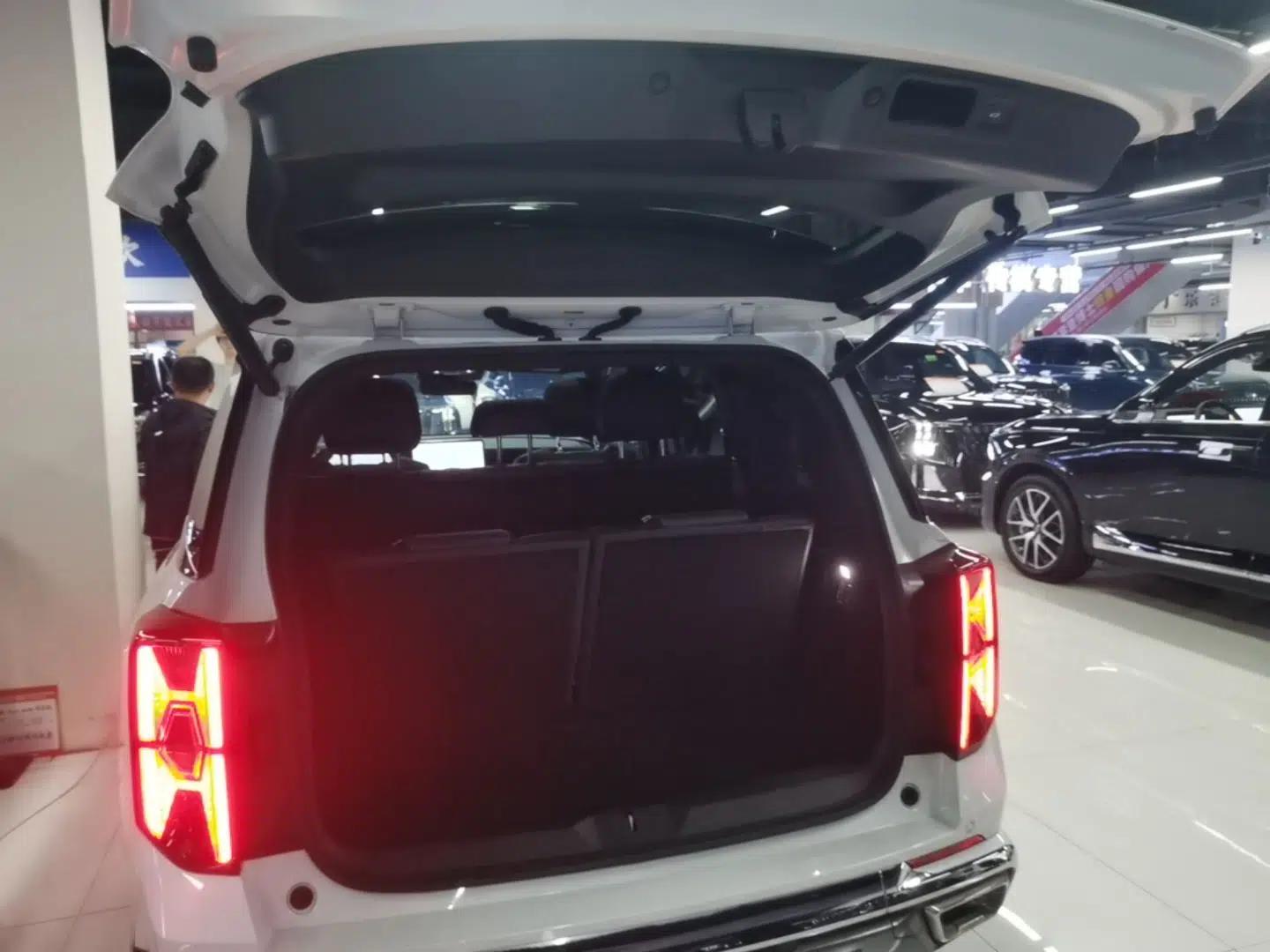 GAC Trumpchi ES9 2024 PHEV 143km Max+ — миниатюра 22