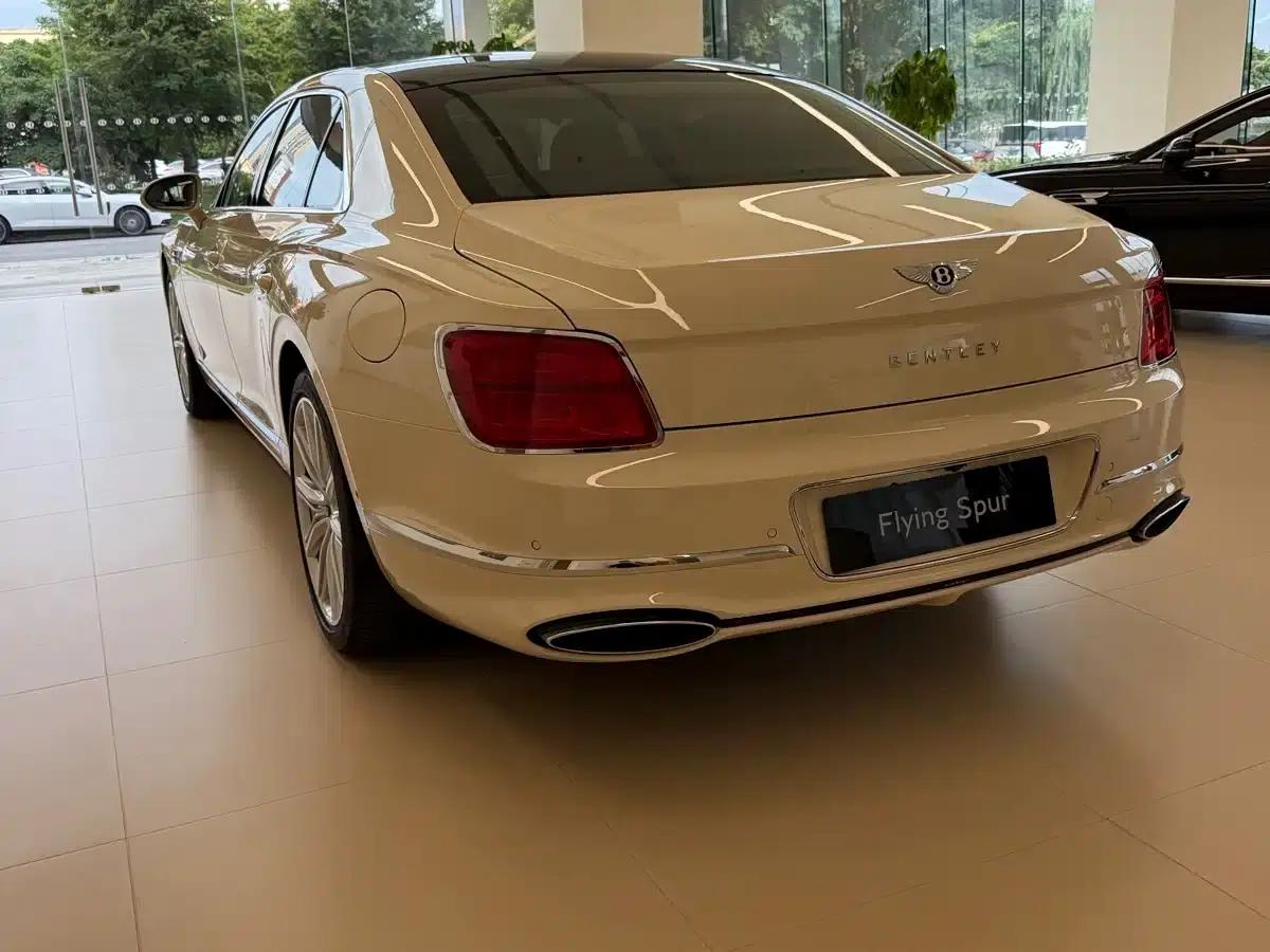 2026 Mercedes-Benz Flying Spur Plug-in Hybrid 4.0T V8 Standard Edition — миниатюра 12
