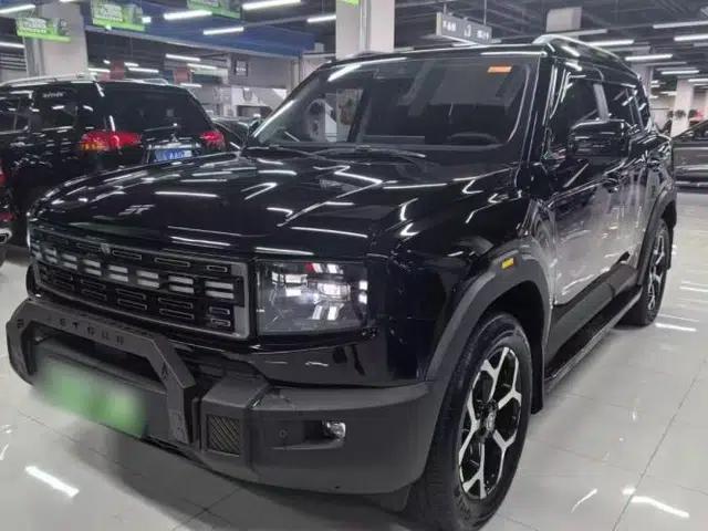 JETOUR Shanhai T1 2025 Model 220km XWD Conquest