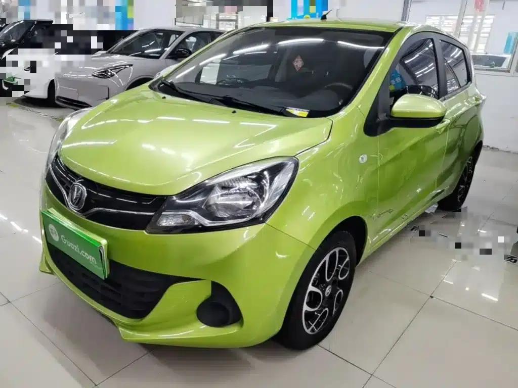 Benben EV 2019 EV360 Standard Edition — миниатюра 1