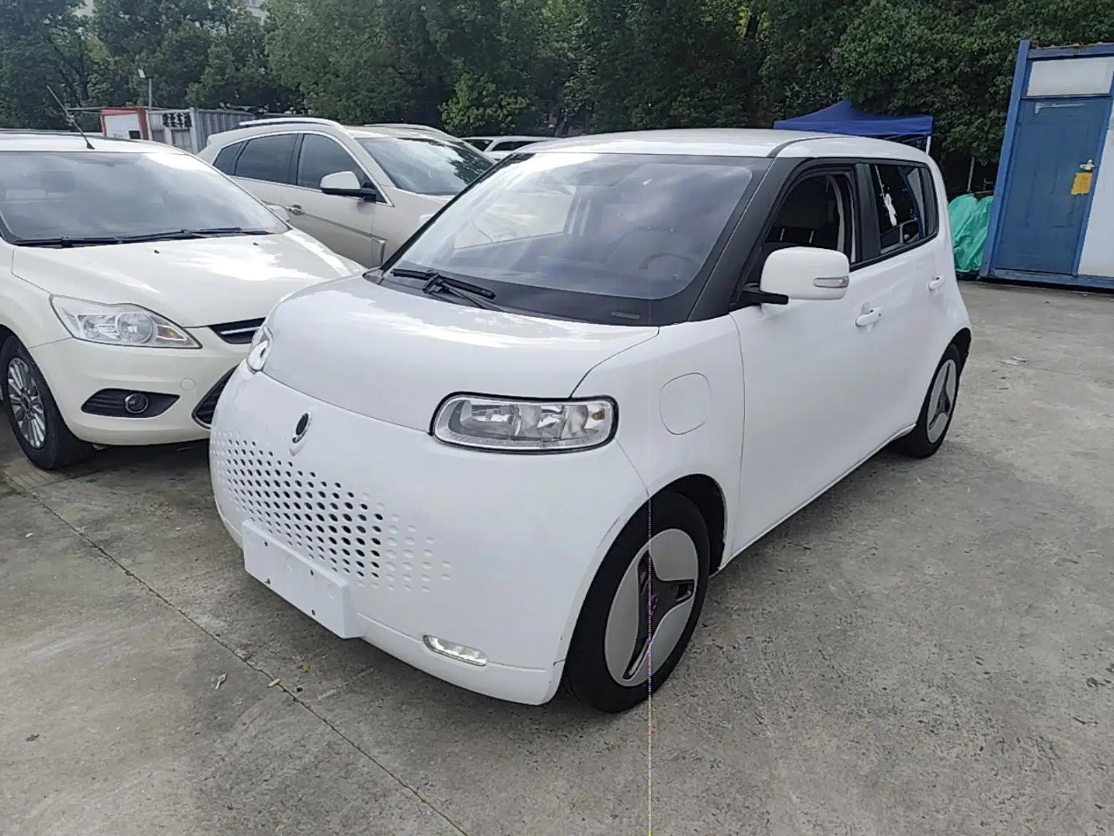 ORA White Cat 2020 360 km Luxury Version — миниатюра 1
