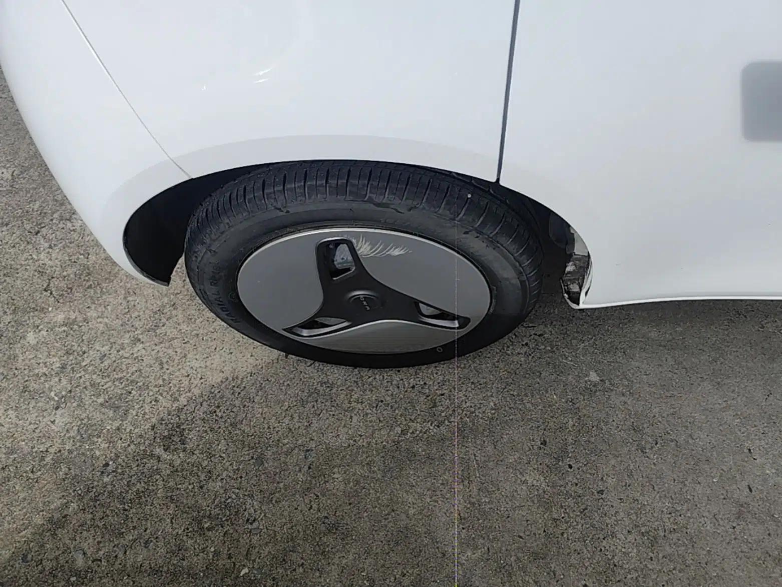 ORA White Cat 2020 360 km Luxury Version — миниатюра 11