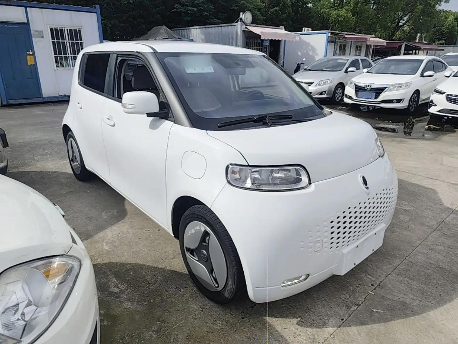ORA White Cat 2020 360 km Luxury Version — миниатюра 12