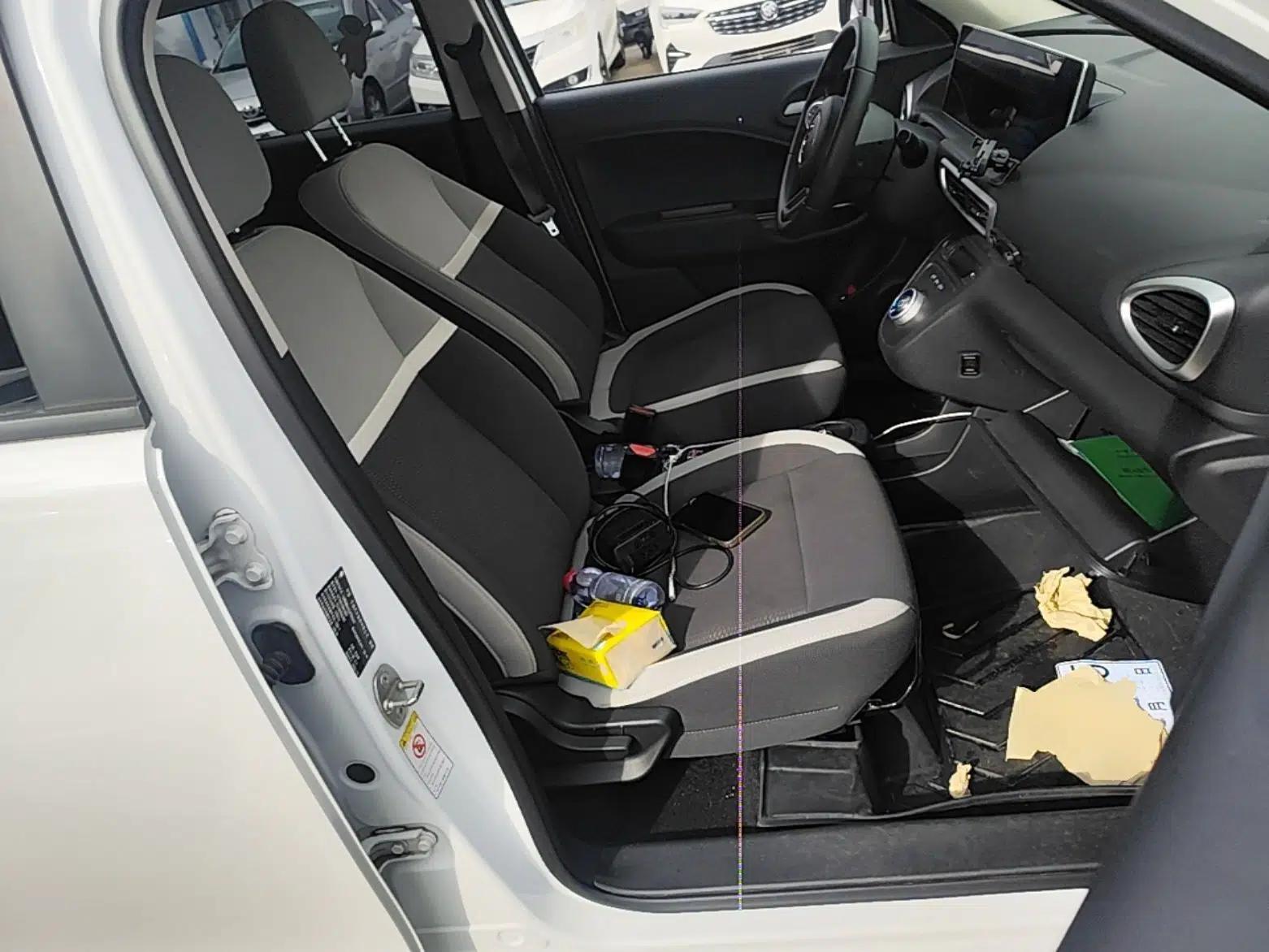 ORA White Cat 2020 360 km Luxury Version — миниатюра 24