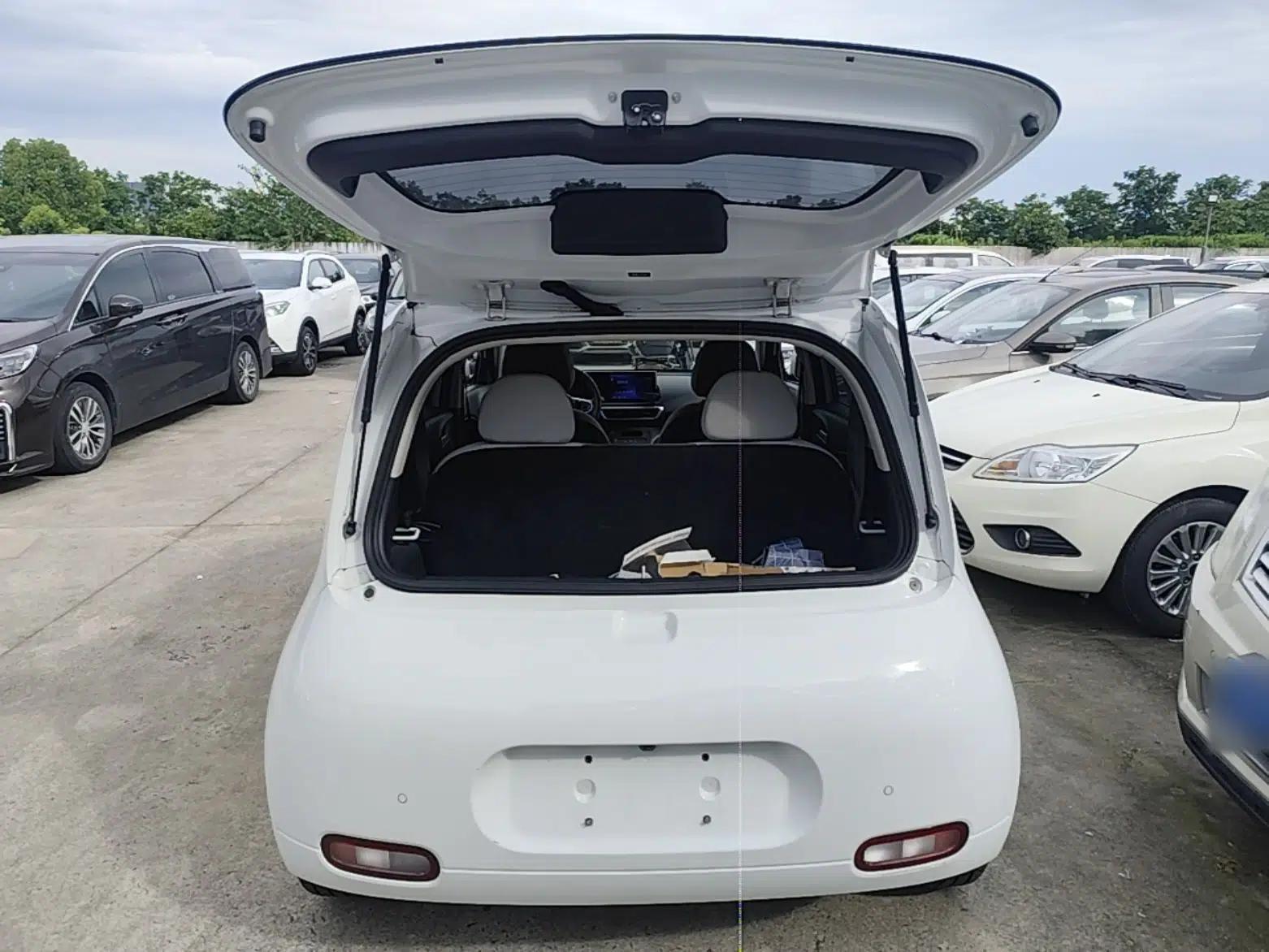 ORA White Cat 2020 360 km Luxury Version — миниатюра 27