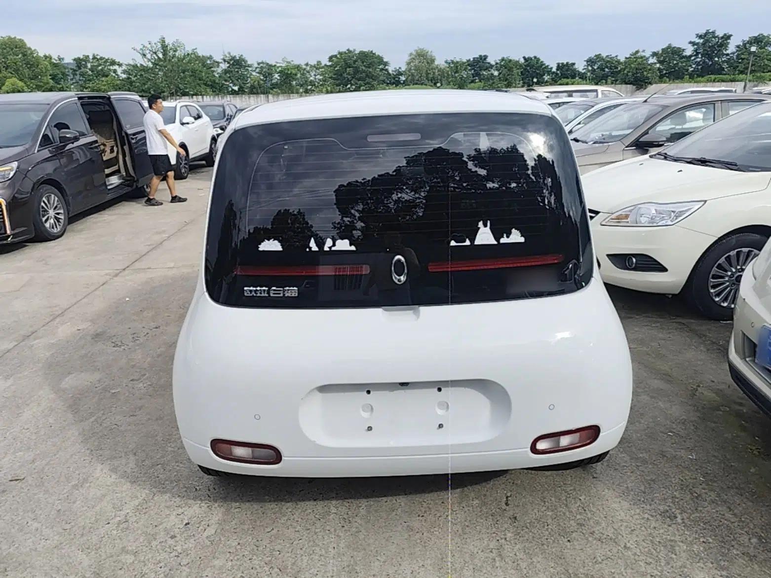 ORA White Cat 2020 360 km Luxury Version — миниатюра 5