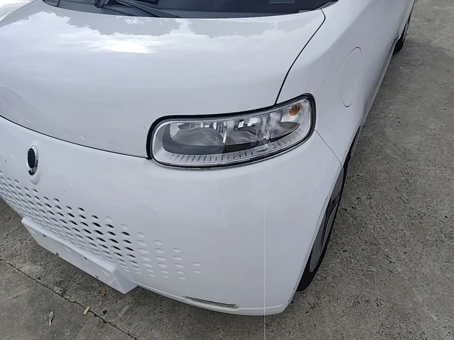 ORA White Cat 2020 360 km Luxury Version — миниатюра 8