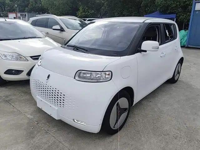 ORA White Cat 2020 360 km Luxury Version