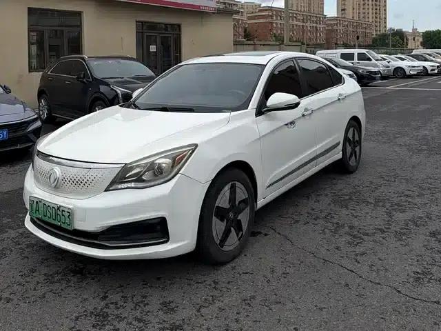 Dongfeng Fengshen E70 2020 500 Super Enjoy Edition