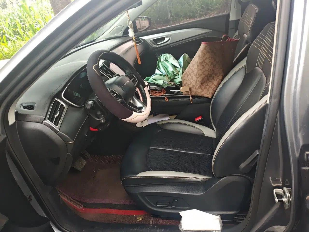 Roewe i6 MAX 2020 300TGI Automatic Cool & Stylish Skyroof Edition — миниатюра 15