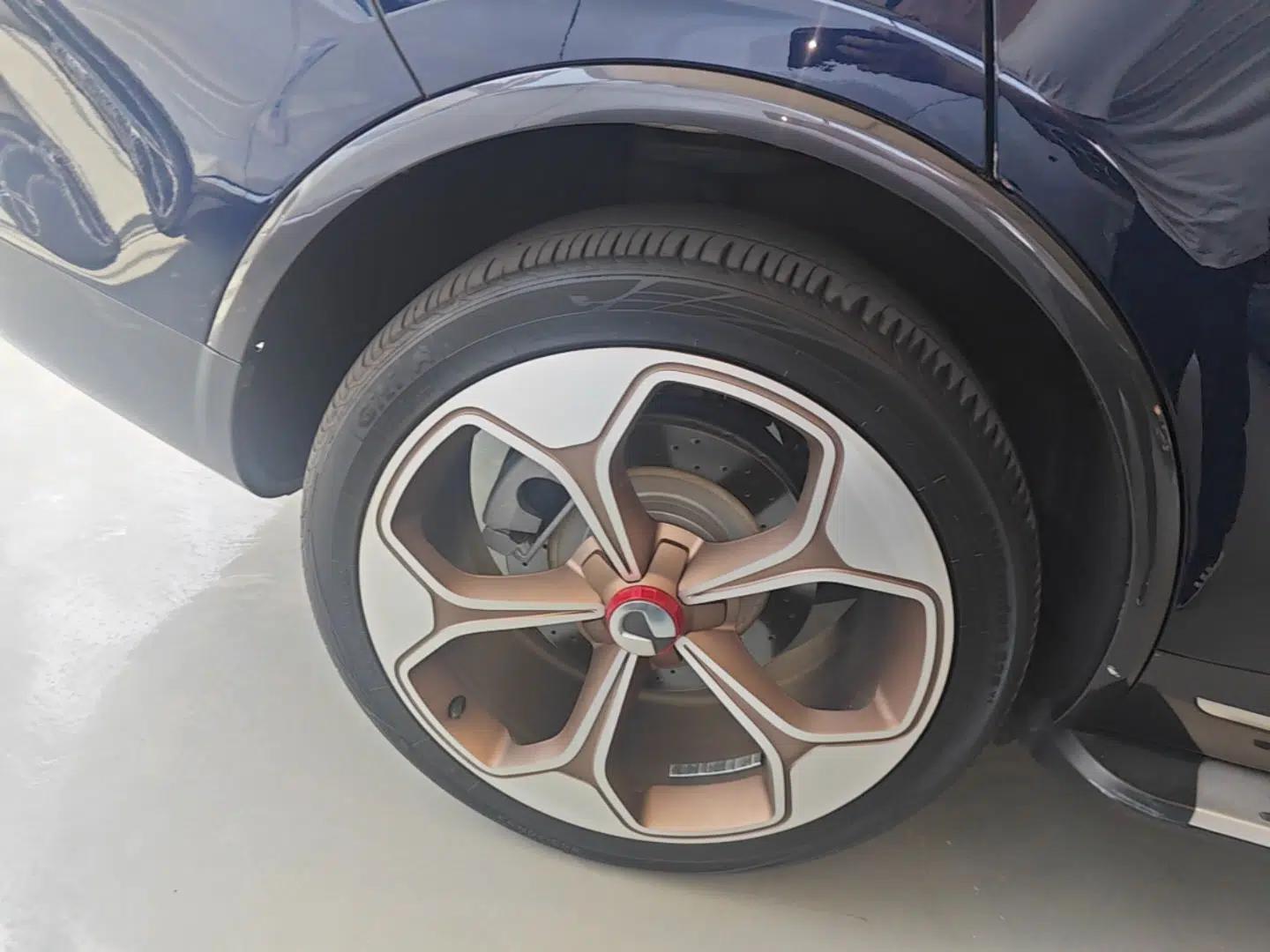 Denza X 2020 PHEV Flagship Edition — миниатюра 16