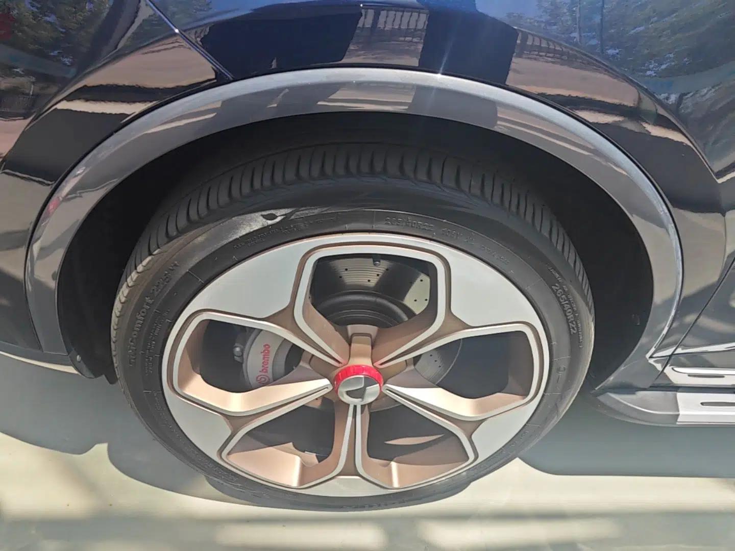 Denza X 2020 PHEV Flagship Edition — миниатюра 10
