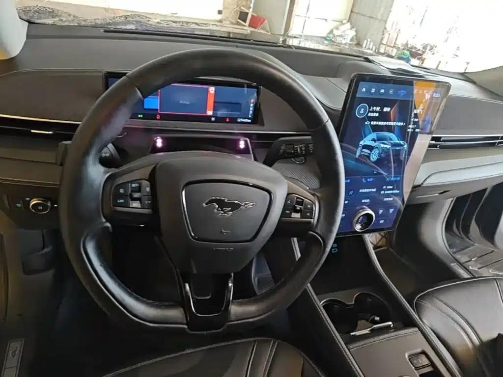 Ford e31 2021 Model X Long Range Rear-Wheel Drive — миниатюра 11