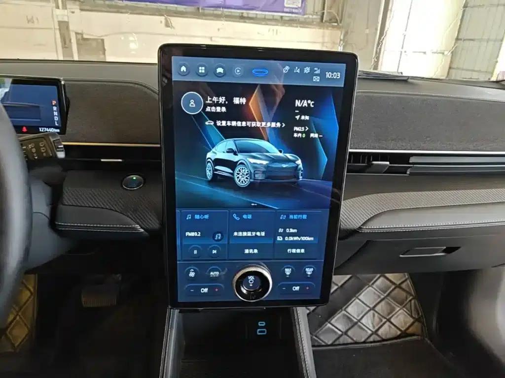 Ford e31 2021 Model X Long Range Rear-Wheel Drive — миниатюра 13