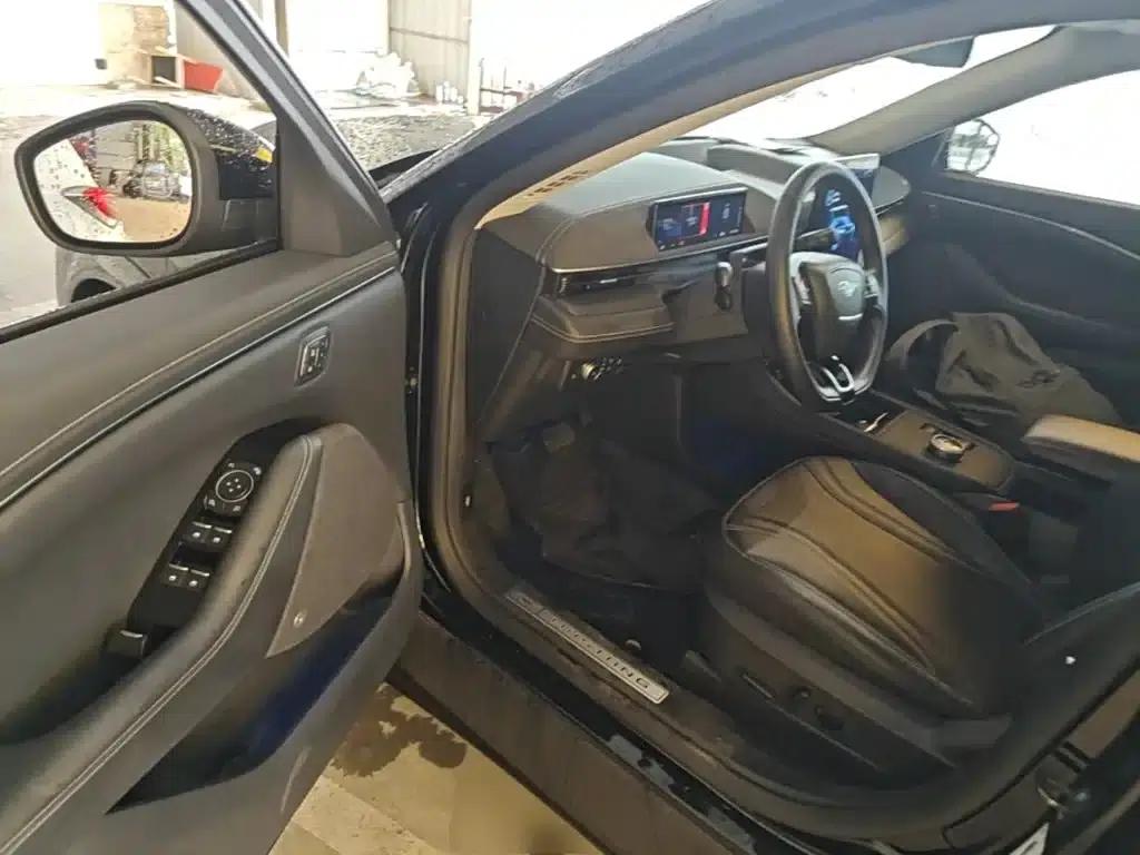 Ford e31 2021 Model X Long Range Rear-Wheel Drive — миниатюра 16