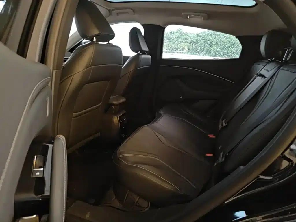 Ford e31 2021 Model X Long Range Rear-Wheel Drive — миниатюра 17
