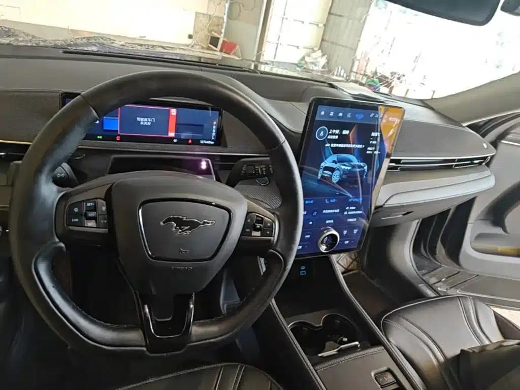 Ford e31 2021 Model X Long Range Rear-Wheel Drive — миниатюра 10