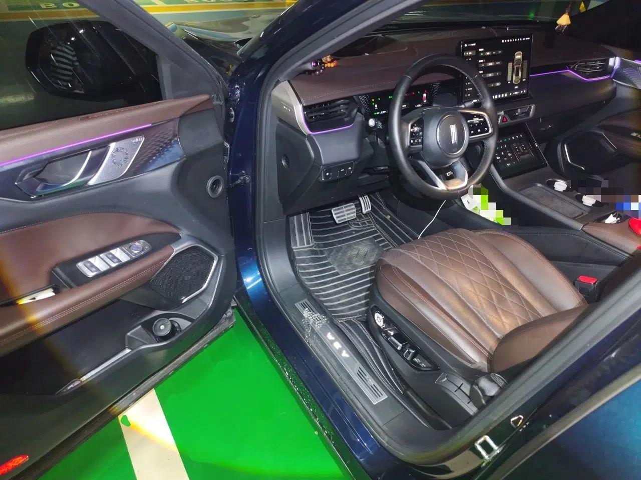 Wey Mocha New Energy 2023 Two-Wheel Drive Long-Range Version — миниатюра 16