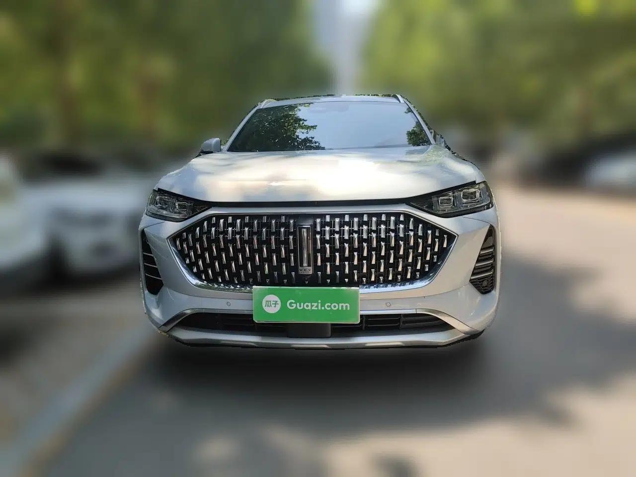 Wey Mocha 2021 2.0T Two-Wheel-Drive Premium Edition — миниатюра 2