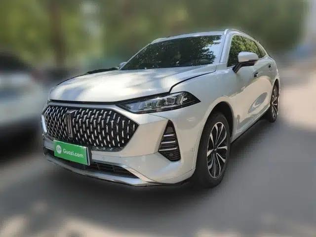 Wey Mocha 2021 2.0T Two-Wheel-Drive Premium Edition