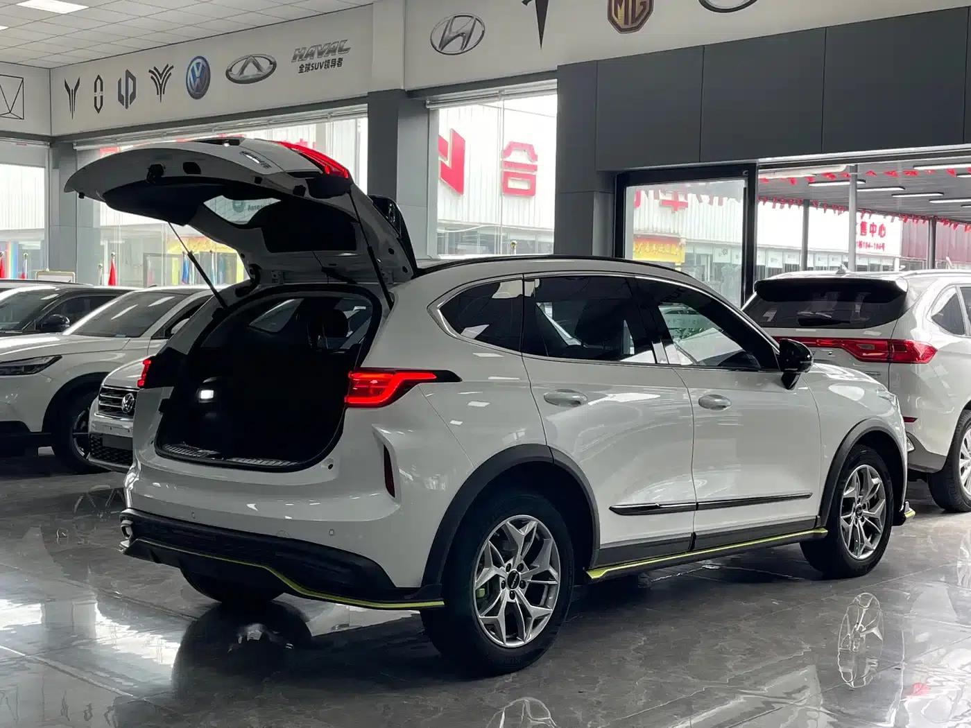 Haval Chitu 2022 Enjoy Edition 1.5T Bronze Rabbit — миниатюра 16