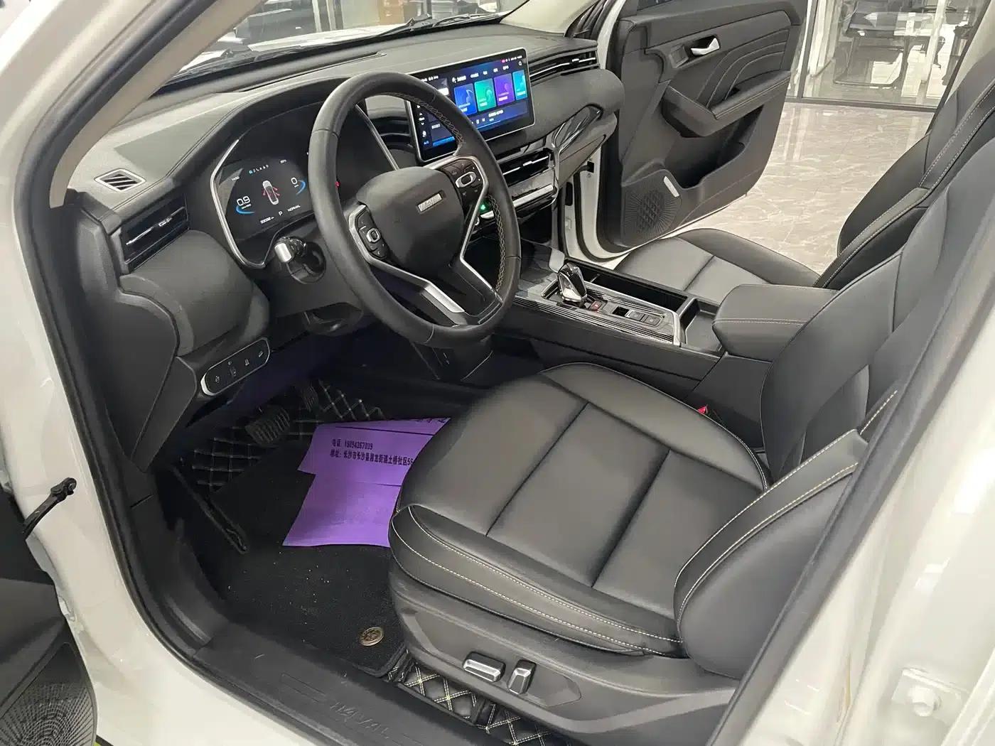 Haval Chitu 2022 Enjoy Edition 1.5T Bronze Rabbit — миниатюра 5