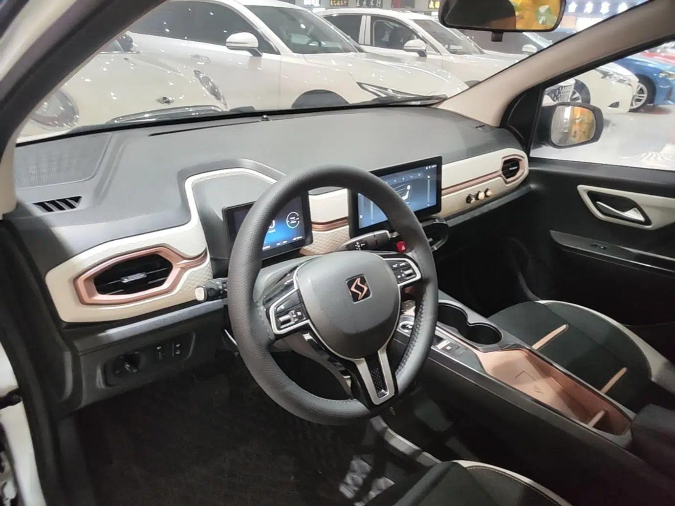 SOL E10X 2021 302 km Range Fashion Edition 31.4 kWh — миниатюра 12