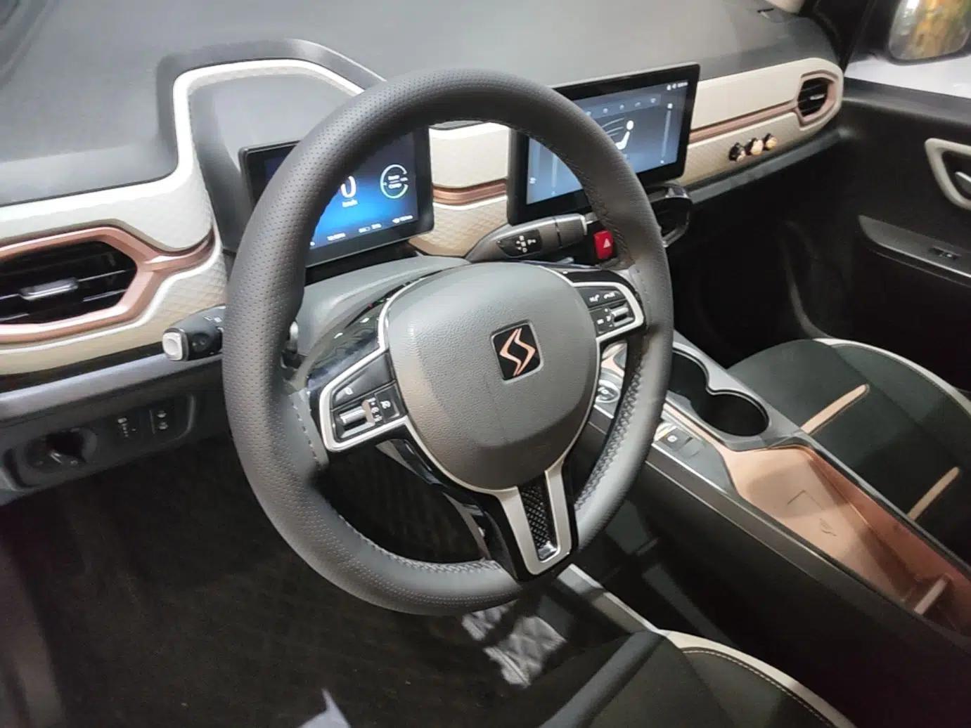 SOL E10X 2021 302 km Range Fashion Edition 31.4 kWh — миниатюра 13